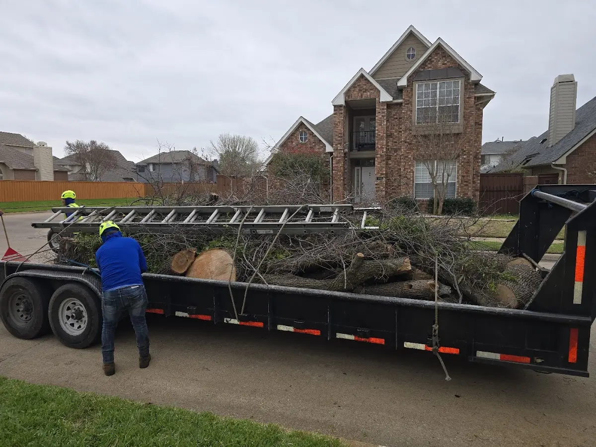Expert Crown Reduction with proper safety equipment in Mazomanie